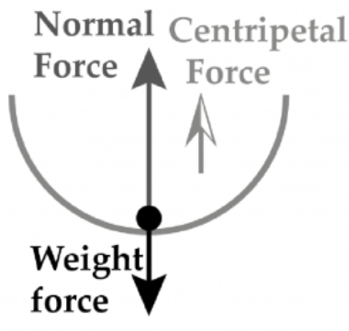 VCE物理|一起“动”起来 - Motion全解析