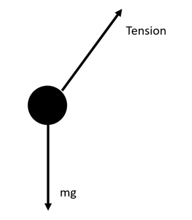 VCE物理|一起“动”起来 - Motion全解析